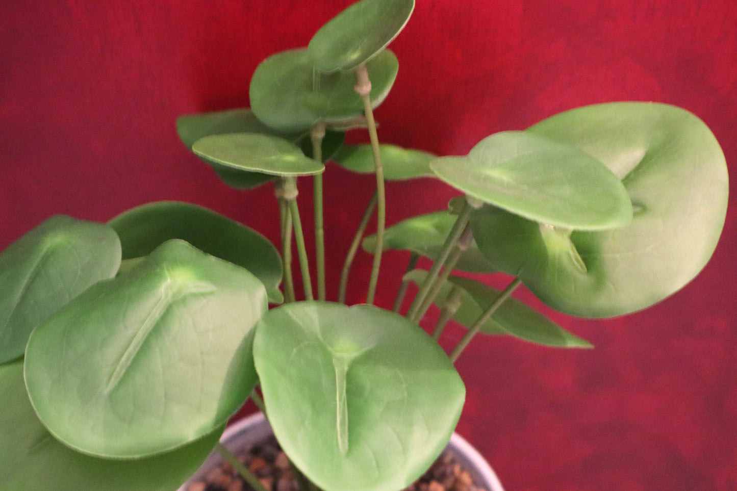 Desk & Décor Artificial Plant