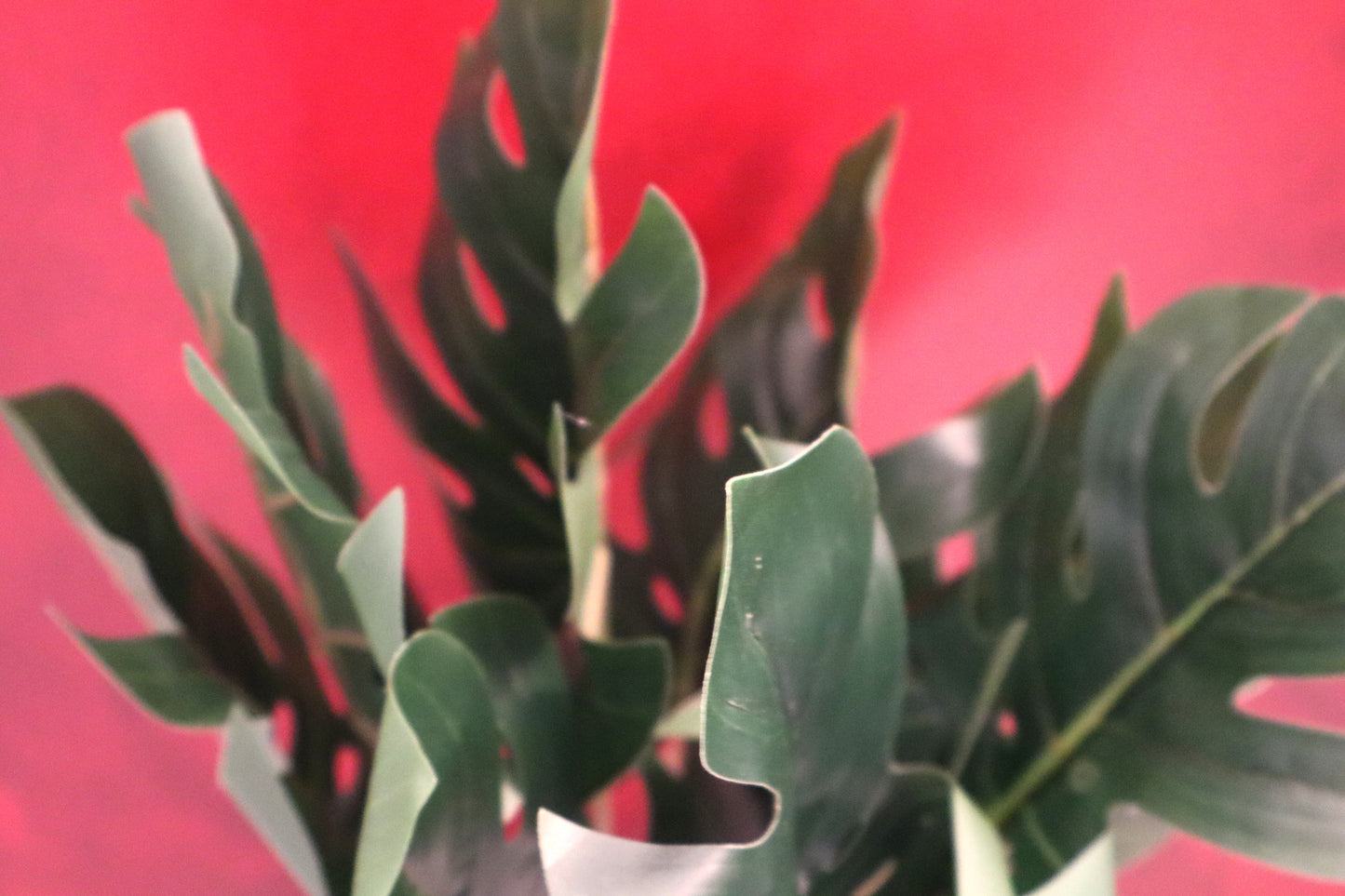 Desk & Décor Artificial Plant