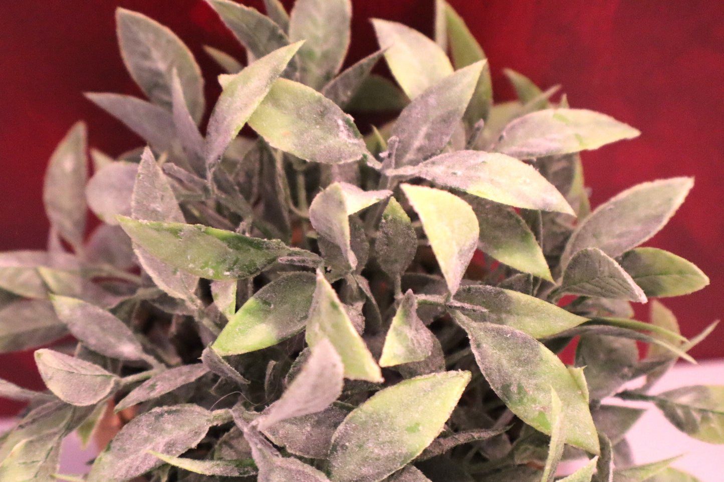 Desk & Décor Artificial Plant