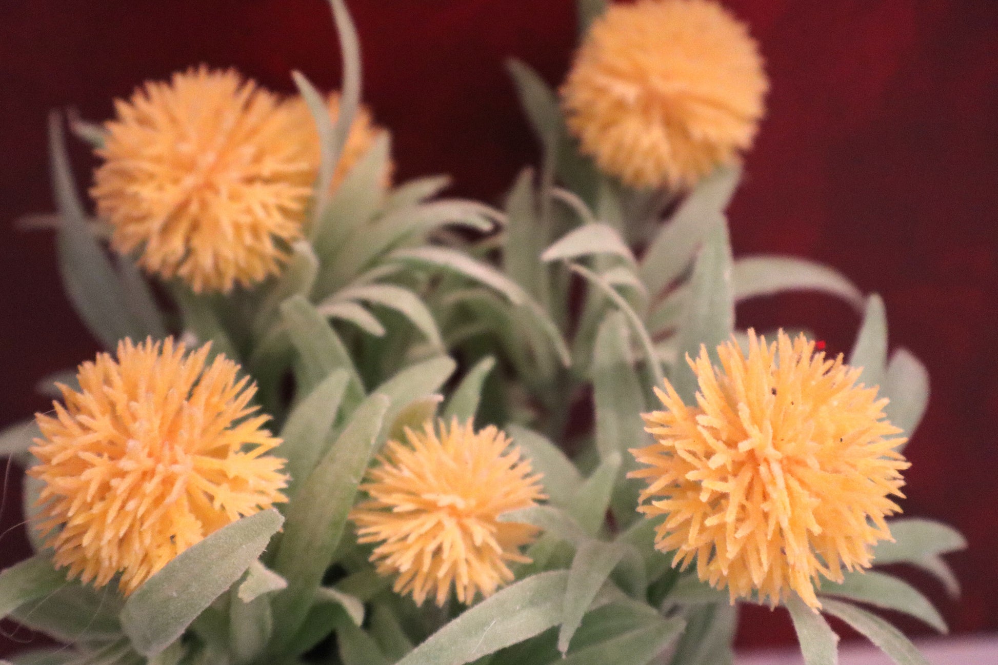 Desk & Décor Artificial Plant sentimental gifts